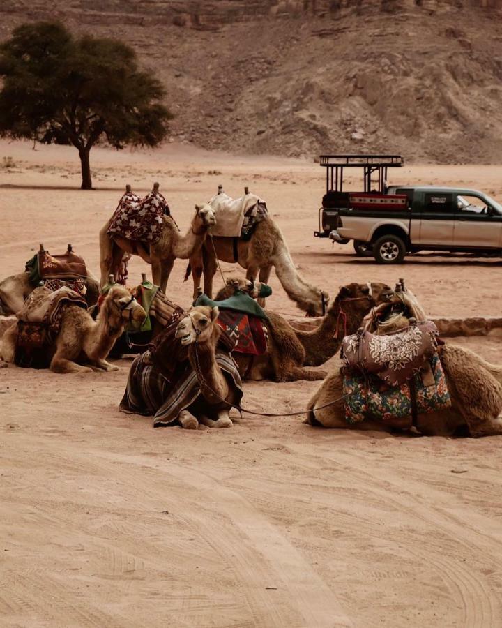 Wadi Rum Fun Time Tour'S Ngoại thất bức ảnh
