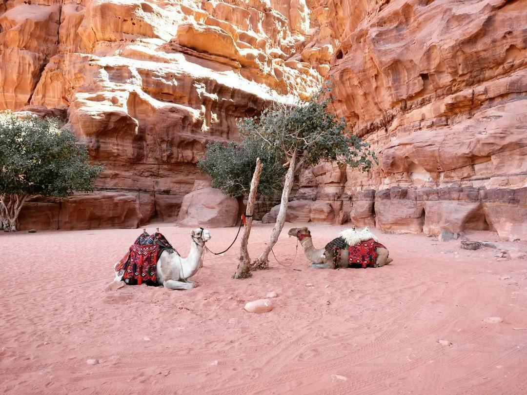 Wadi Rum Fun Time Tour'S Ngoại thất bức ảnh